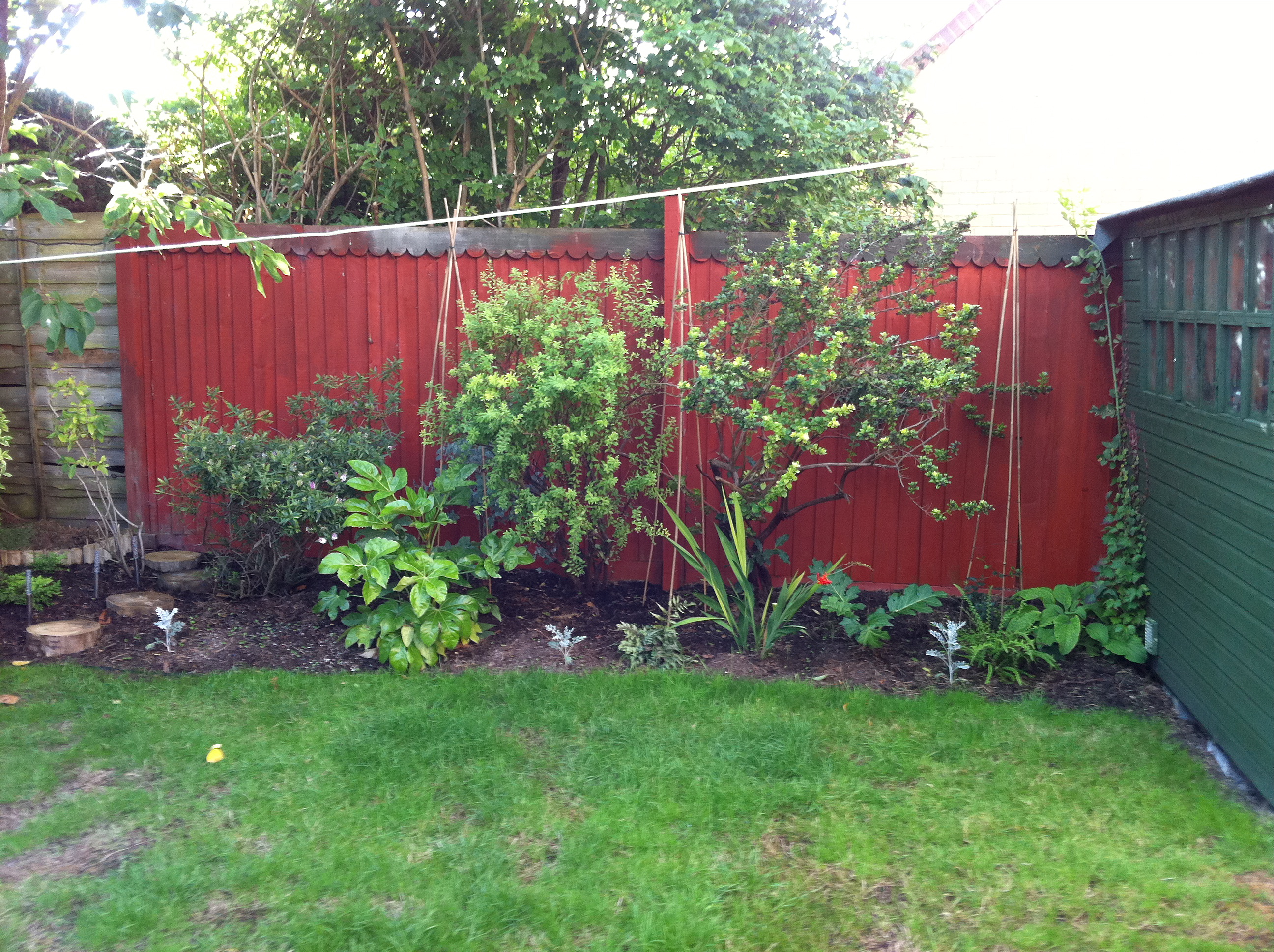 Eastfacing Border Sunil's Garden